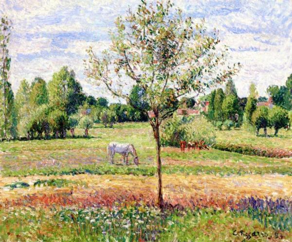 Meadow With Grey Horse, Eragny by Camille Pissarro