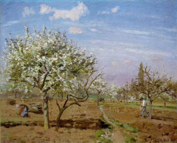 Orchard In Blossom, Louveciennes by Camille Pissarro