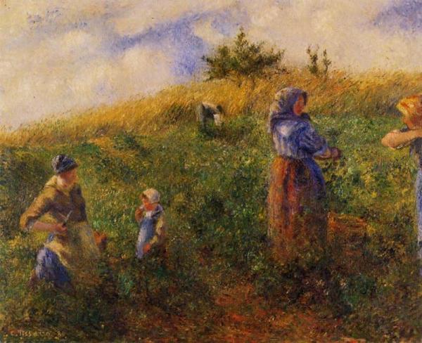 Picking Peas by Camille Pissarro