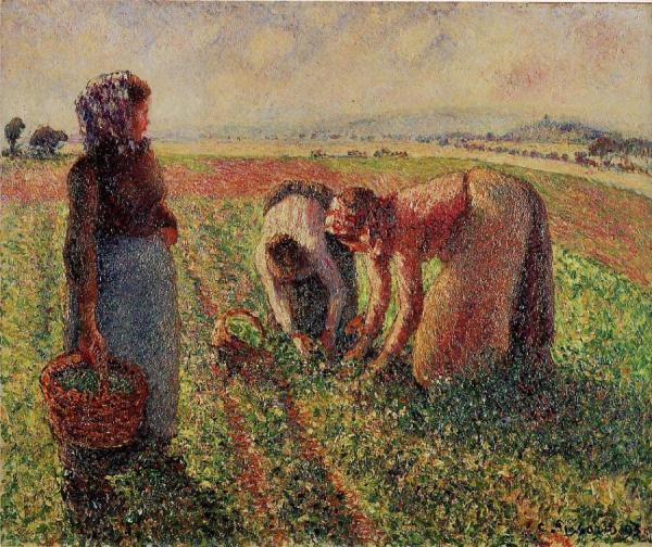 Picking Peas by Camille Pissarro