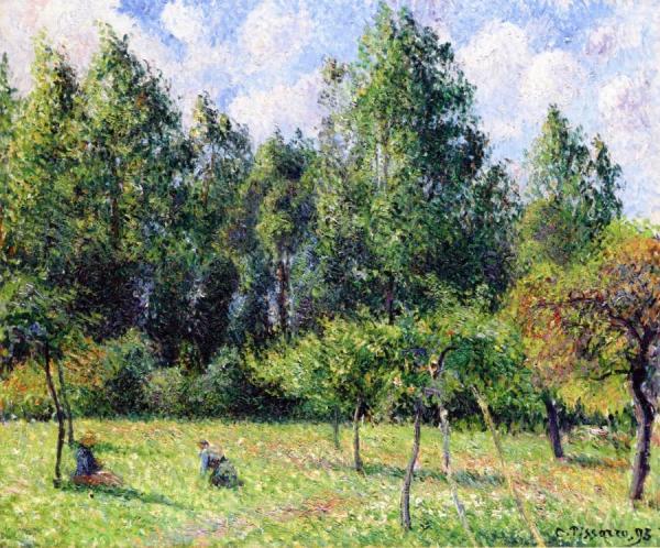 Poplars, Morning, Eragny by Camille Pissarro Oil Painting Reproductions