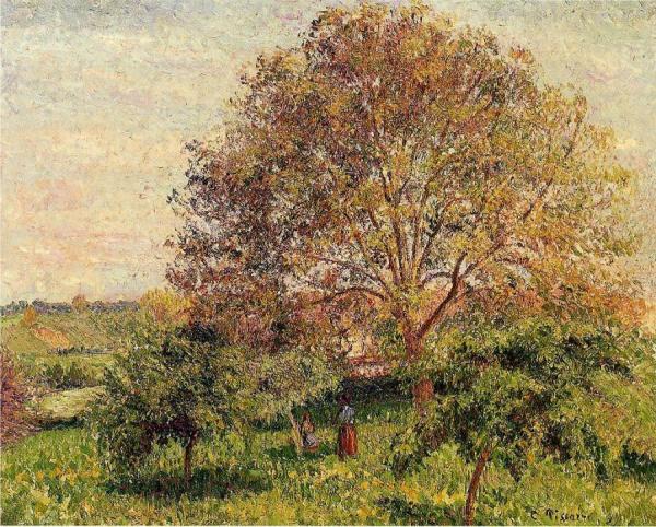 Walnut Tree In Spring by Camille Pissarro