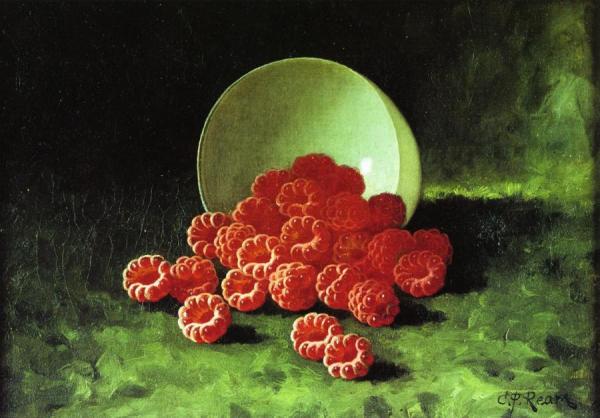 Still Life: Overturned Cup On Raspberries by Carducius Plantagenet Ream