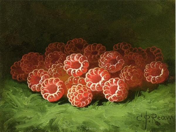 Still Life With Raspberies by Carducius Plantagenet Ream