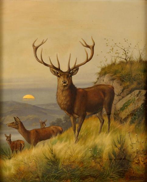 Deer by Carl Friedrich Deiker
