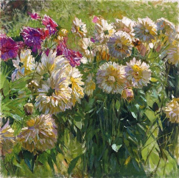 Carl Julius Rudolf Moll Dahlias