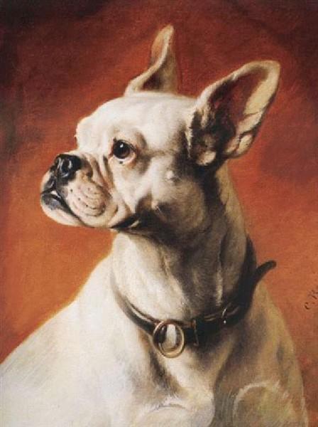 A French Bulldog by Carl Reichert Oil Painting Reproductions