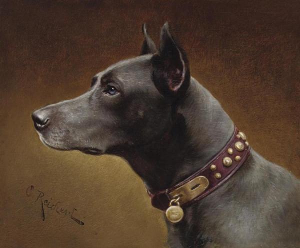 Carl Reichert Black Doberman