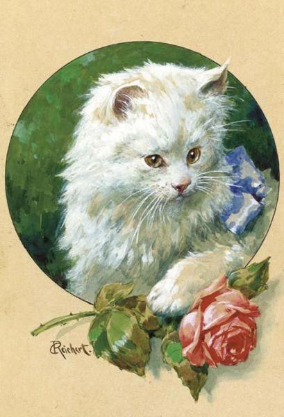 Cat And Rose by Carl Reichert