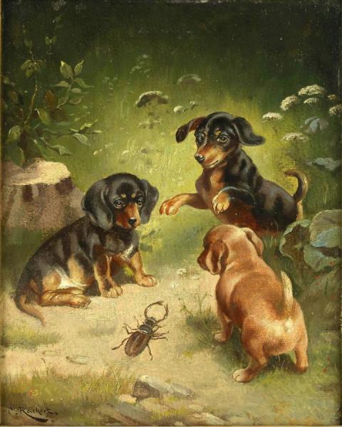 Carl Reichert Dachshund Puppies At Play