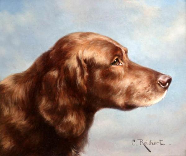 Irish Setter by Carl Reichert Oil Painting Reproductions
