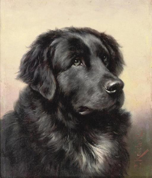 Newfoundland by Carl Reichert
