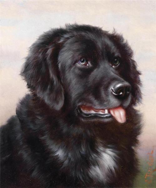 Newfoundland by Carl Reichert