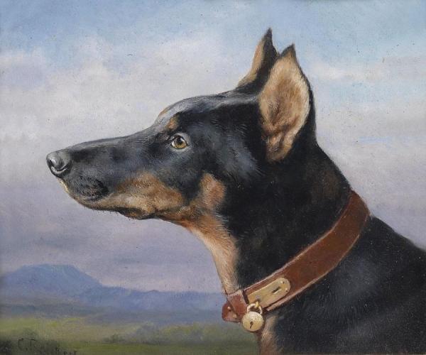 Portrait Of A Doberman by Carl Reichert Oil Painting Reproductions