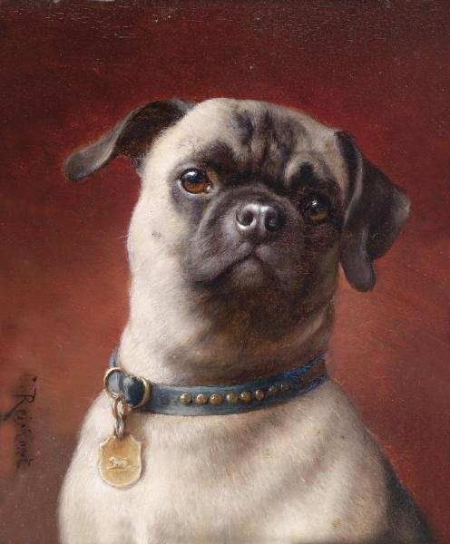 Pug by Carl Reichert