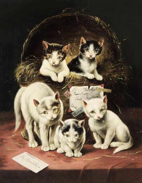 Surprise by Carl Reichert