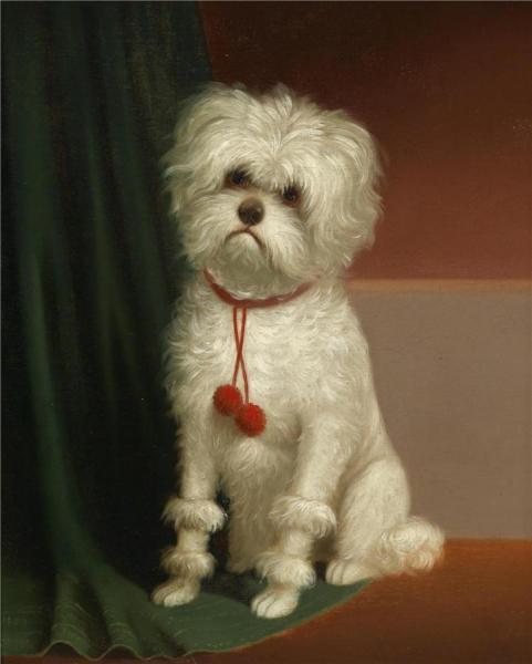 Untitled by Carl Reichert