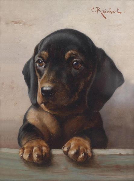 Young Dachshund by Carl Reichert