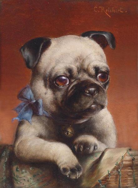 Young Pug by Carl Reichert