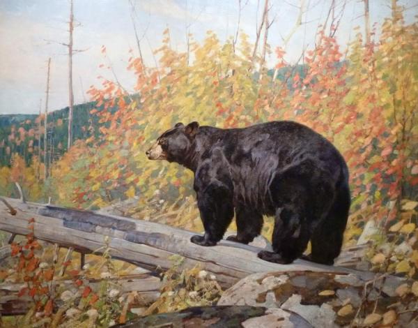 Carl Rungius American Black Bear