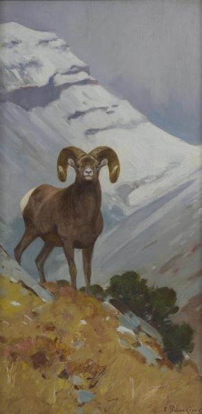 Big Horn Sheep by Carl Rungius Oil Painting Reproductions