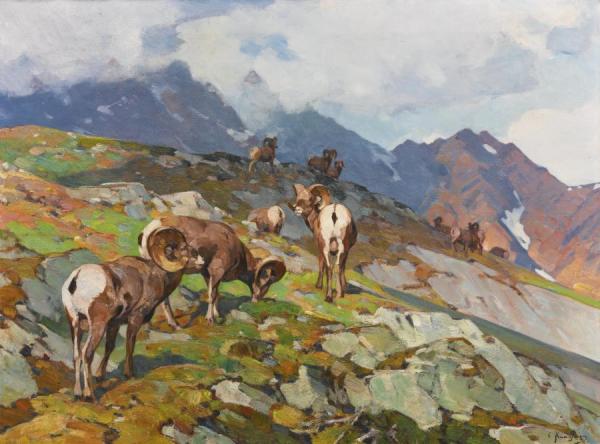 Carl Rungius Big Horn Sheep I