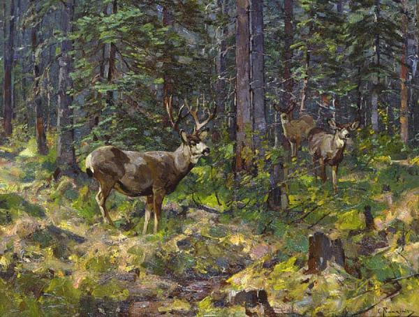 Buck And Doe In The Woods by Carl Rungius Oil Painting Reproductions