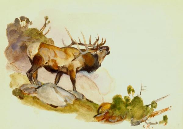 Carl Rungius Bull Elk