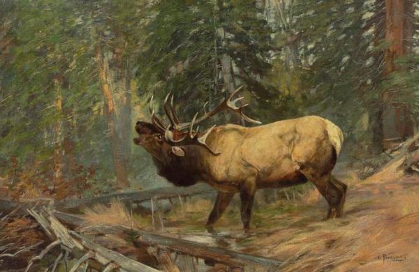 Call Of The Elk by Carl Rungius