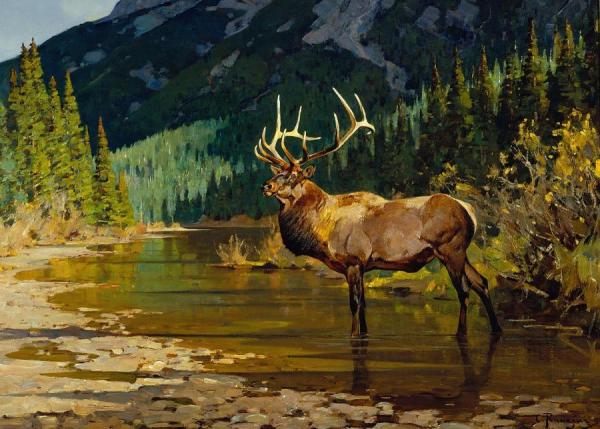 In His Prime by Carl Rungius