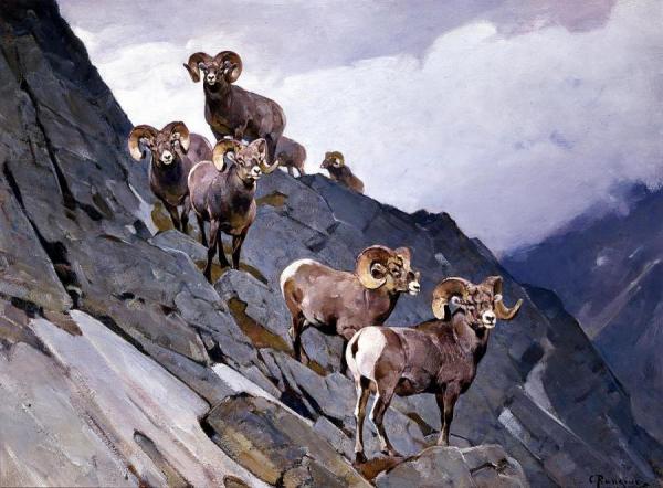 In The Clouds by Carl Rungius