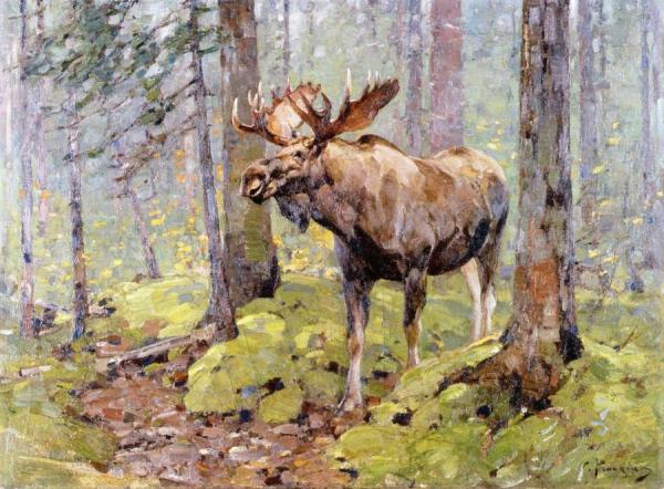 Carl Rungius Moose In The Woods