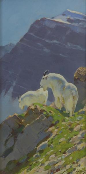Mountain Goats by Carl Rungius