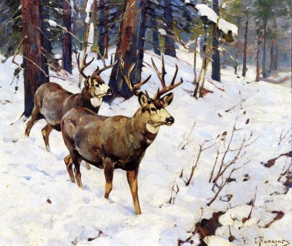 Mule Deer In The Woods by Carl Rungius