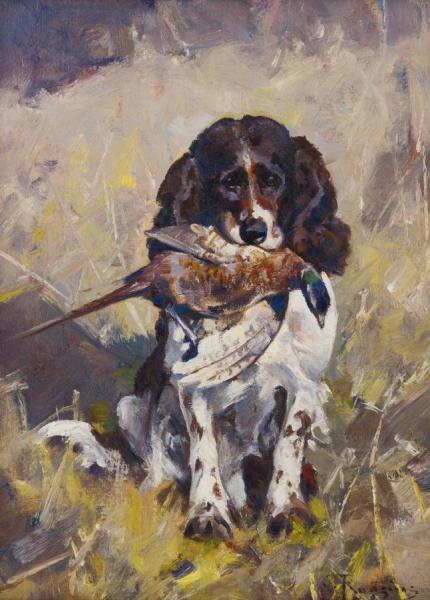 Spaniel Dickey With Pheasant by Carl Rungius
