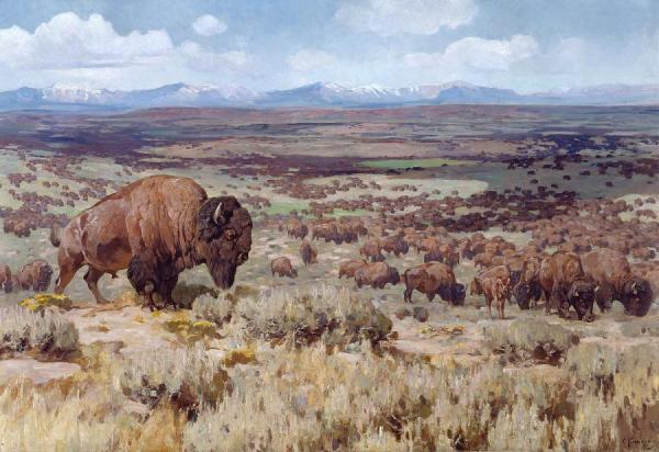 Carl Rungius The Days Of Bison Millions (looking West Toward The Wyoming Range)