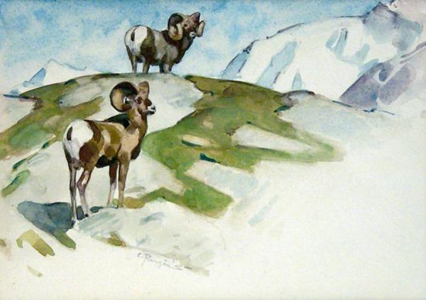 Two Bighorns by Carl Rungius