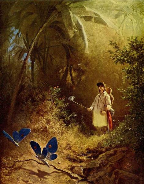 The Butterfly Catcher by Carl Spitzweg Oil Painting Reproductions