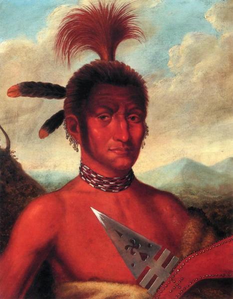 Moanahonga (great Walker), An Iowa Chief by Charles Bird King