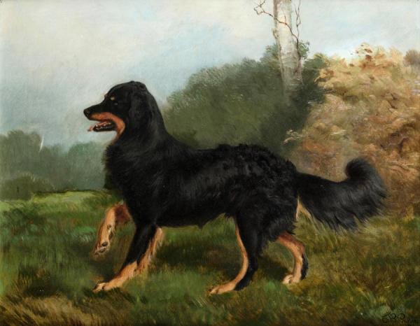 Sharp, Brother Of Fern, One Of Queen Victoria's Dogs by Charles Burton Barber