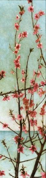 Blossoming Pink Branches by Charles Caryl Coleman