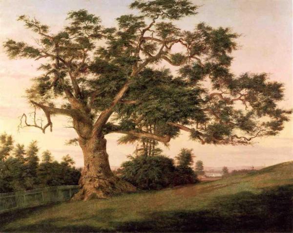 The Charter Oak by Charles De Wolf Brownell