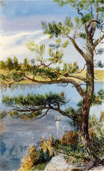 Tree And Sailboat, Lyme, Connecticut by Charles De Wolf Brownell