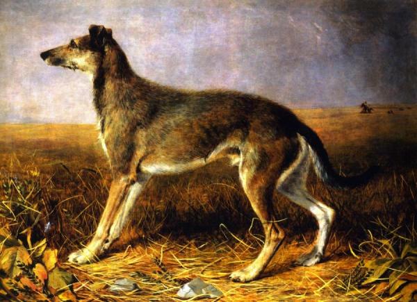 Lion by Charles Deas