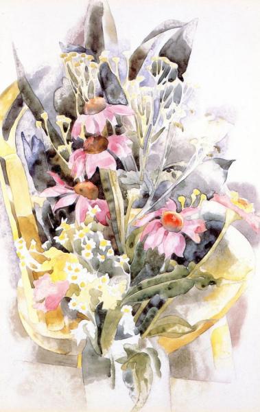 African Daisies by Charles Demuth