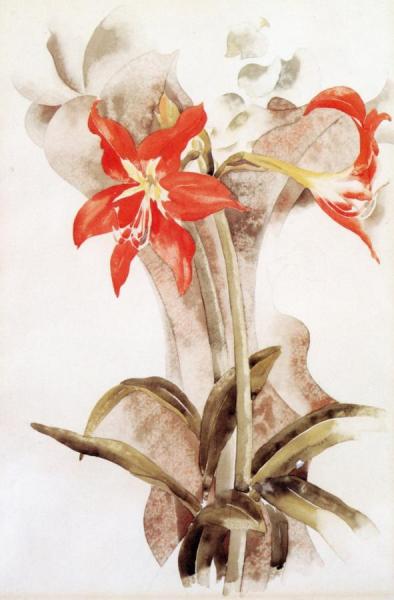 Charles Demuth Amaryllis