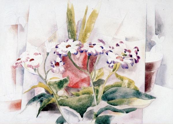 Cineraria by Charles Demuth