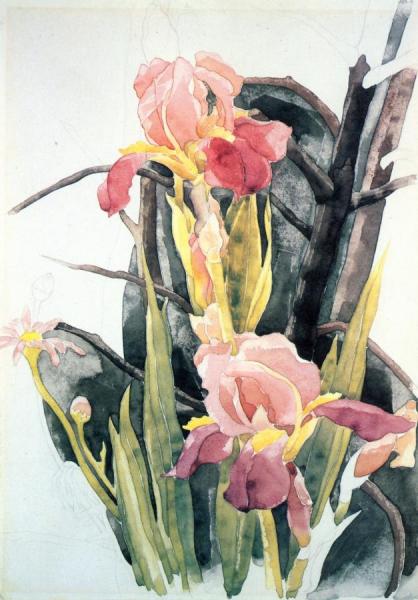 Flowers: Irises by Charles Demuth
