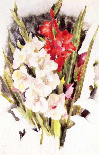 Gladiolus by Charles Demuth