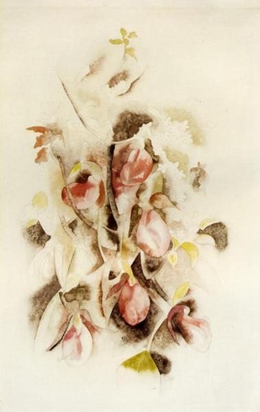 Pink Lady Slippers by Charles Demuth
